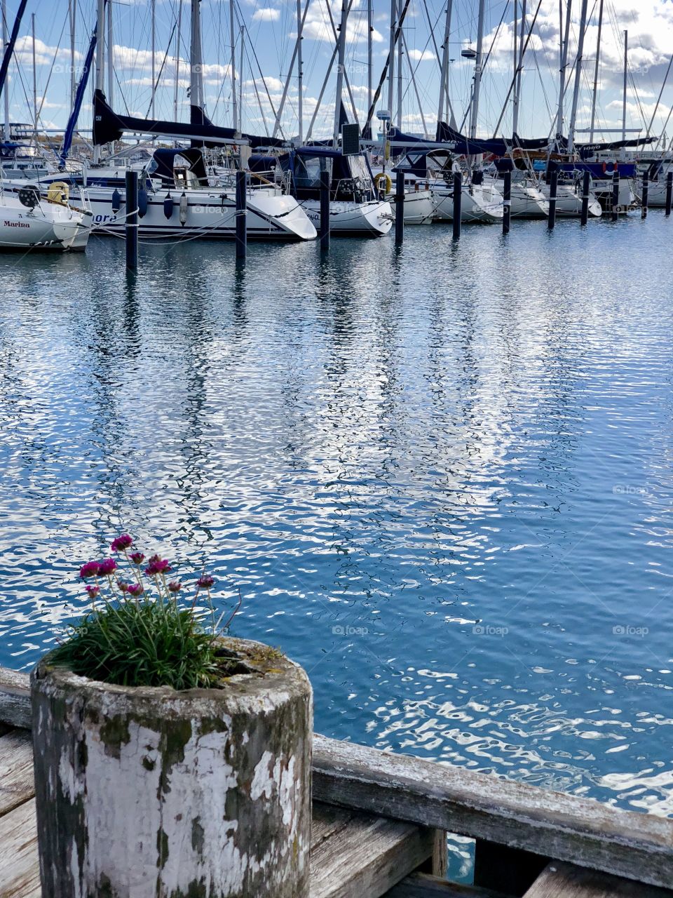 Öckerö harbour 