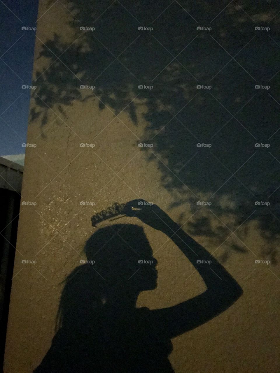 Shadow of a girl raising her crown with the silhouette of trees.
