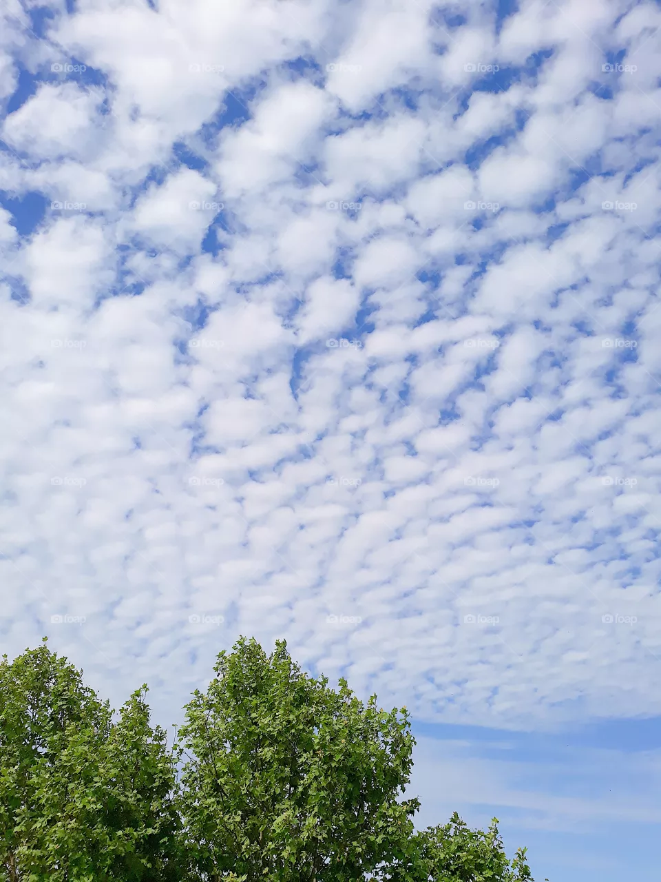 Nuvens