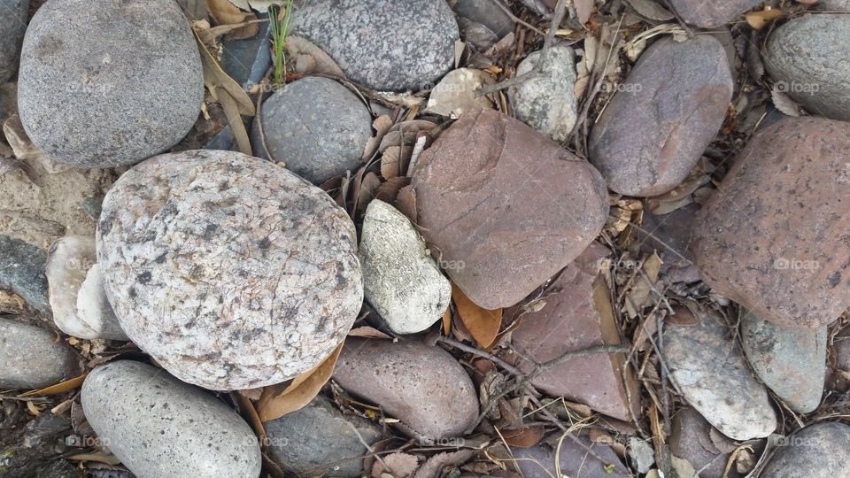 stones and dried leaves