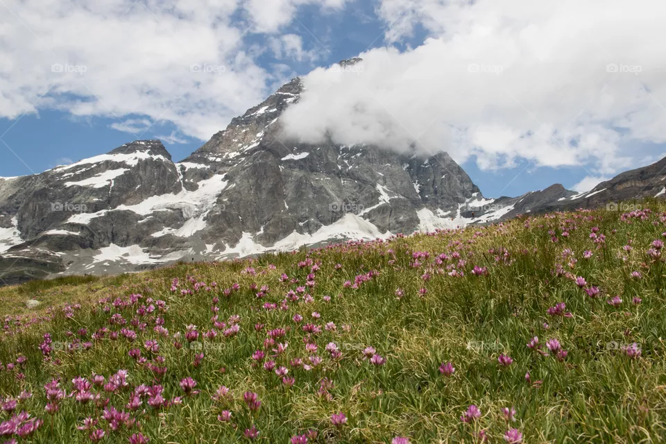 Matterhorn Italy , Mountain peak summer, Breuil-Cervinia, Monte Cervino Italia , Italien Alperna sommar