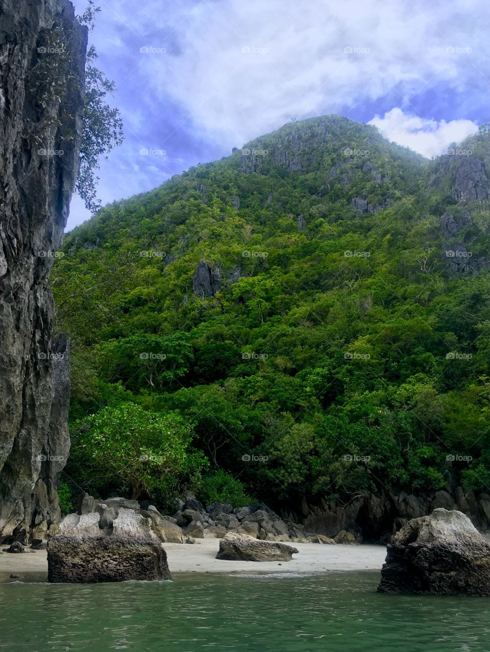 Forest covered mountains on a beach shore