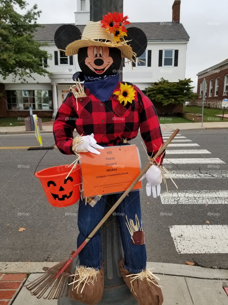 Mickey mouse dress like a scarecrow in Tom River in New Jersey