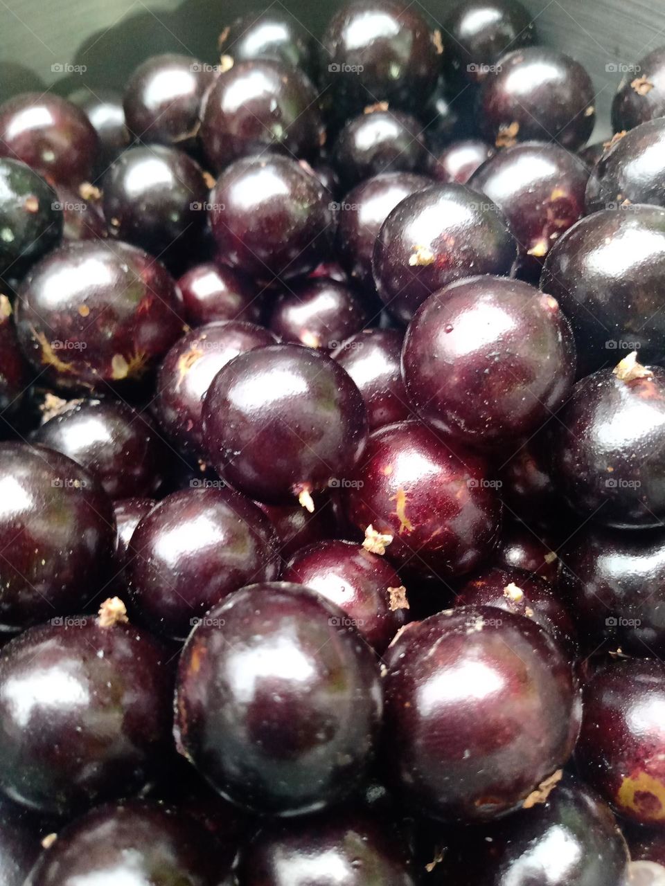 Jabuticaba lavadas e pronta para consumo, aqui não dá tempo de fazer o suco 🤭😅😂