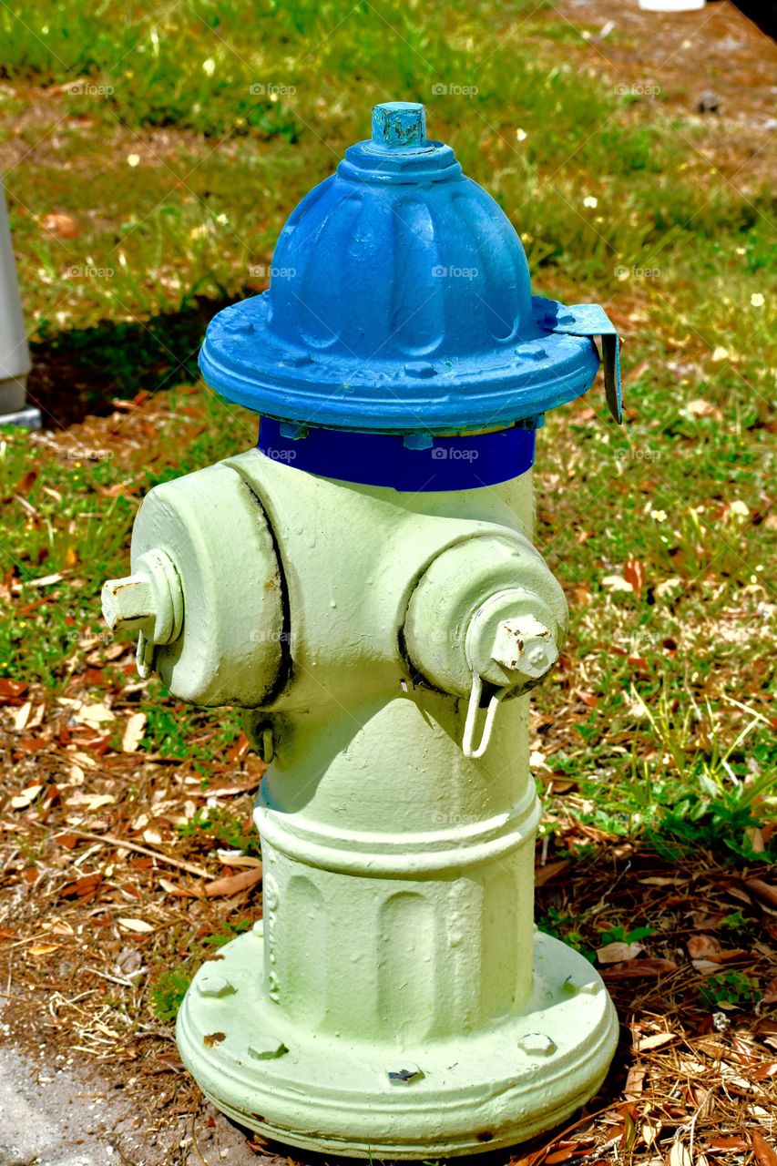 Fire hydrant 