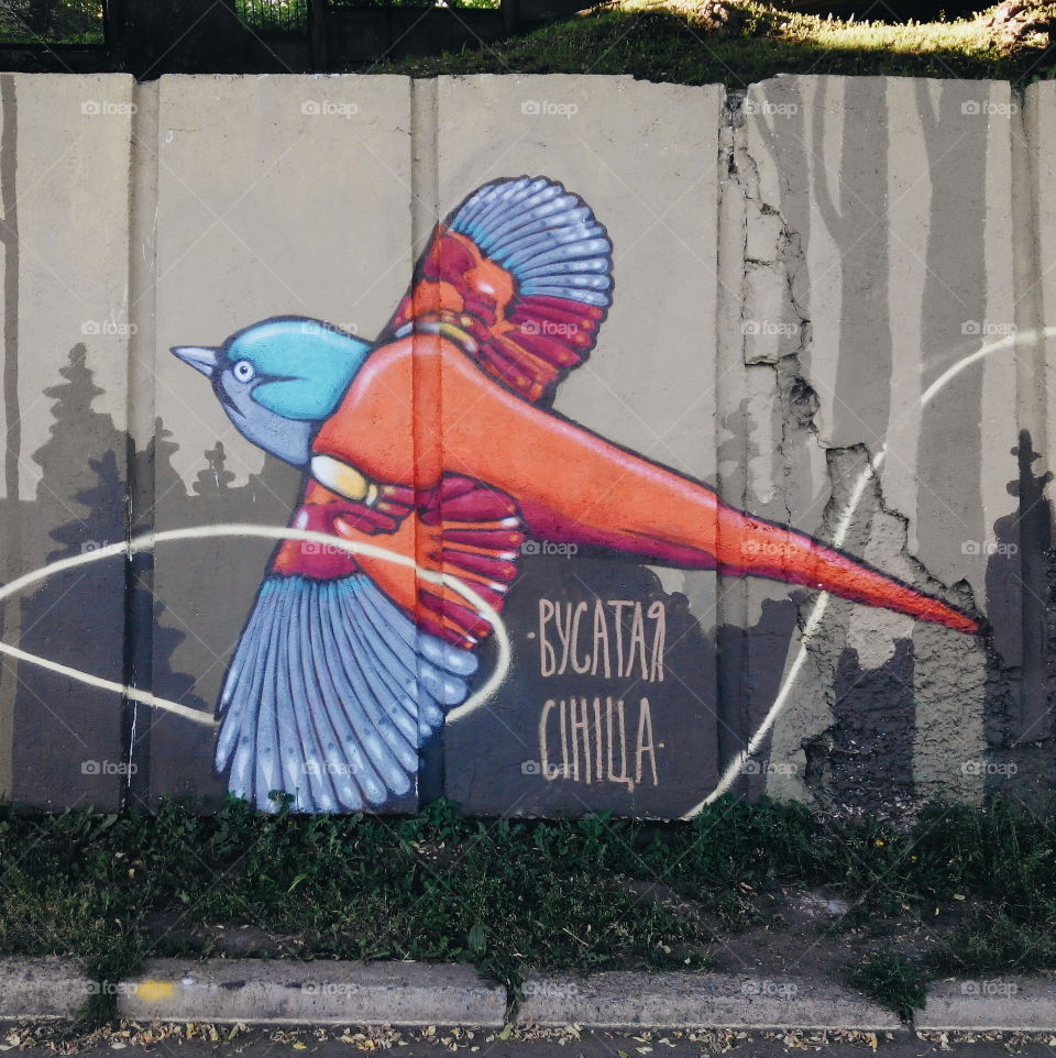 street art bird