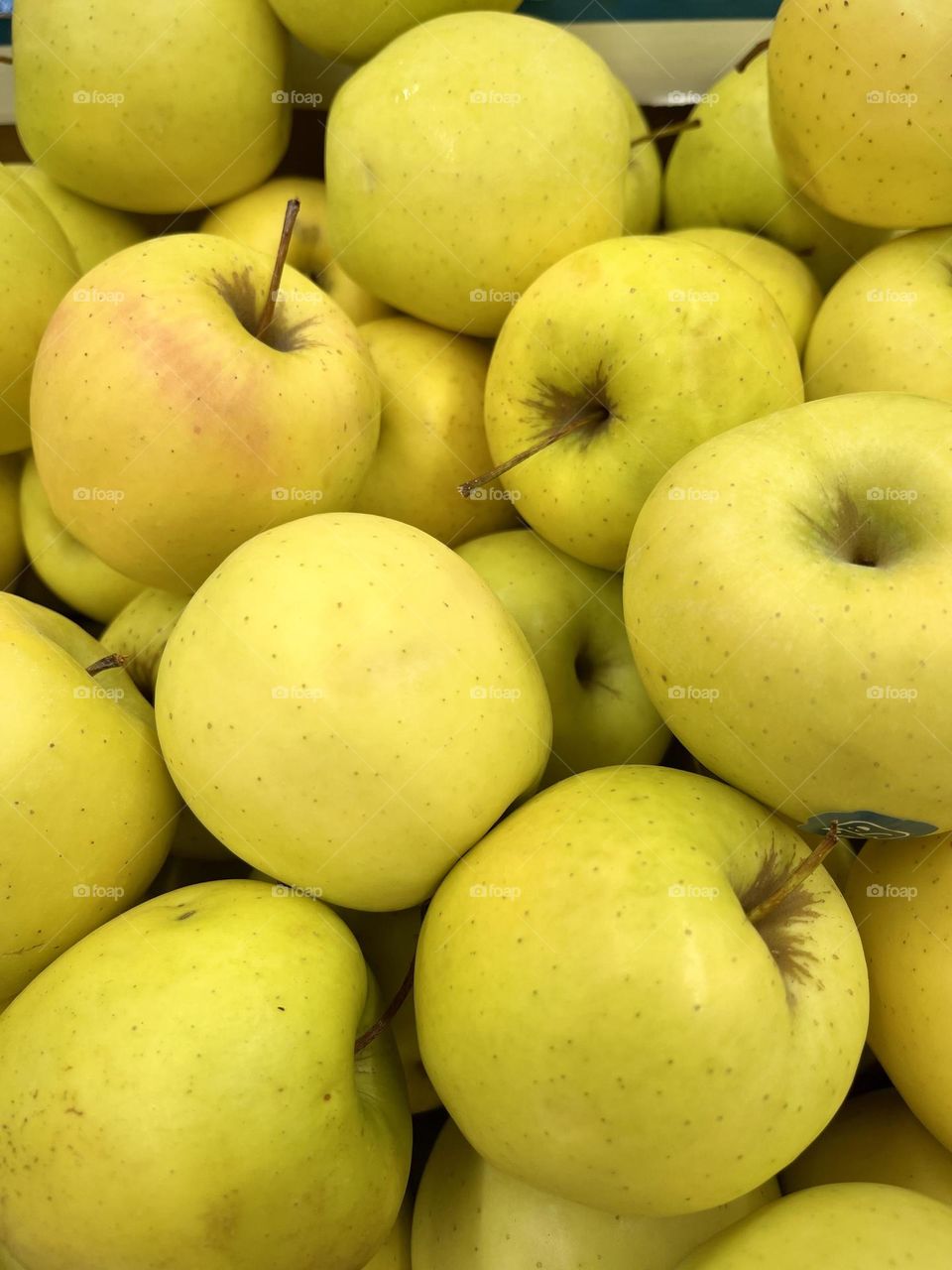 Golden apples 