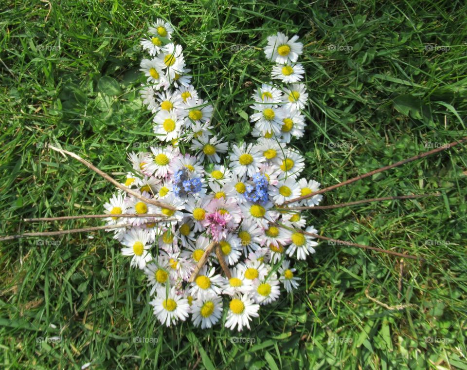 Being creative at Easter. Bunny rabbit made with daisies