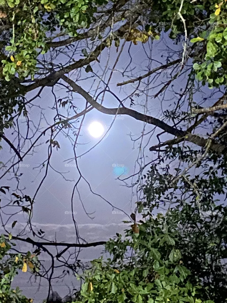 Beautiful moonlight 