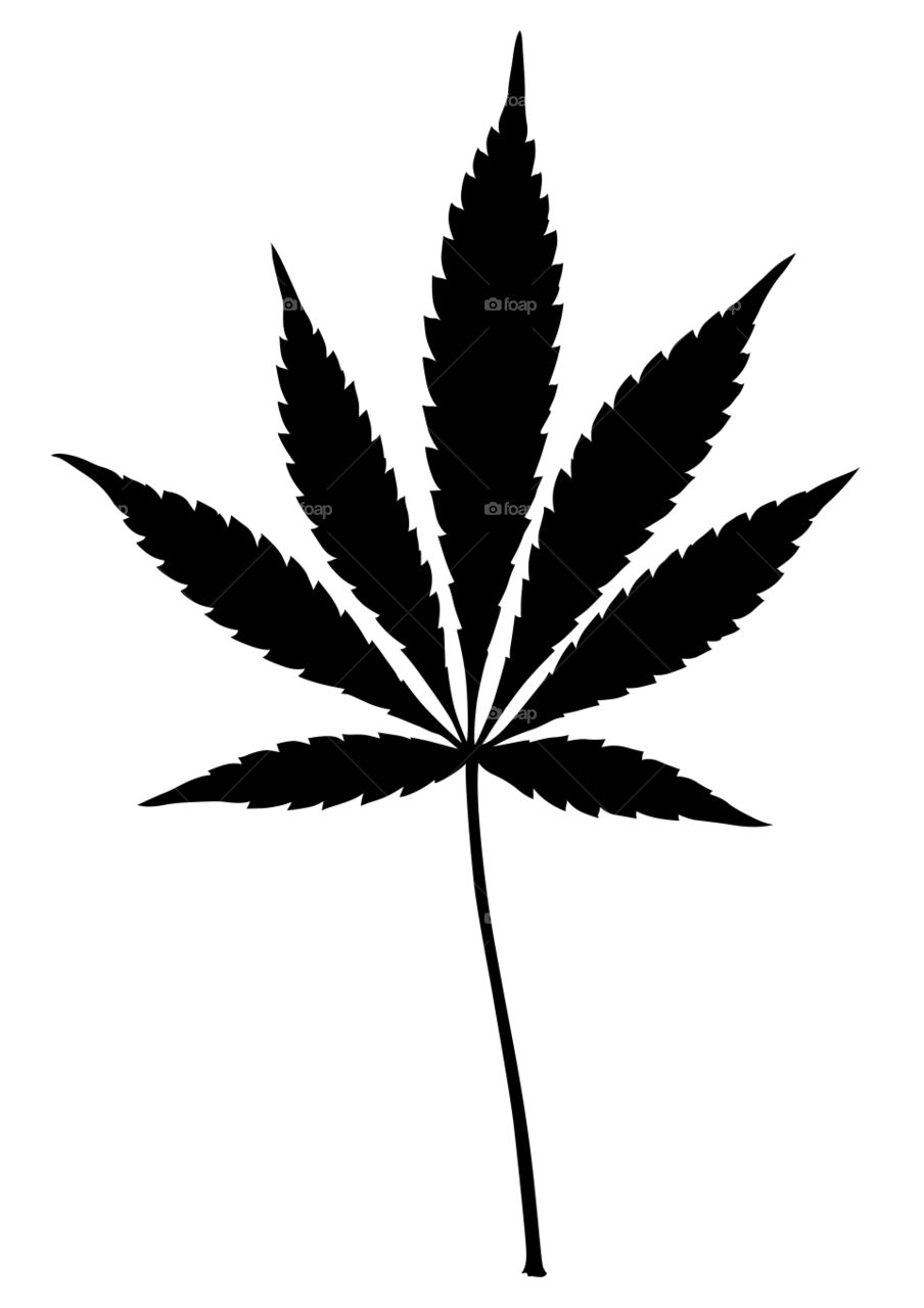 Marijuana leaf illustration