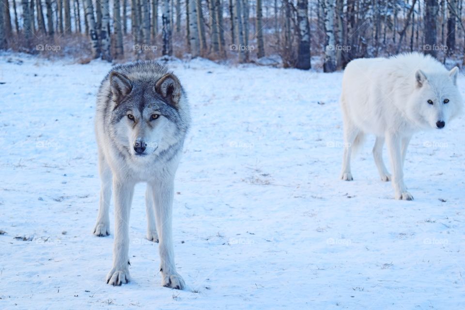 Up close and personal