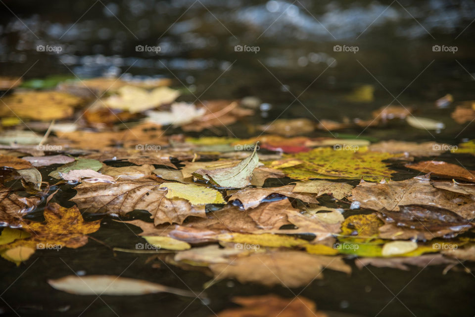 High angle view of nature