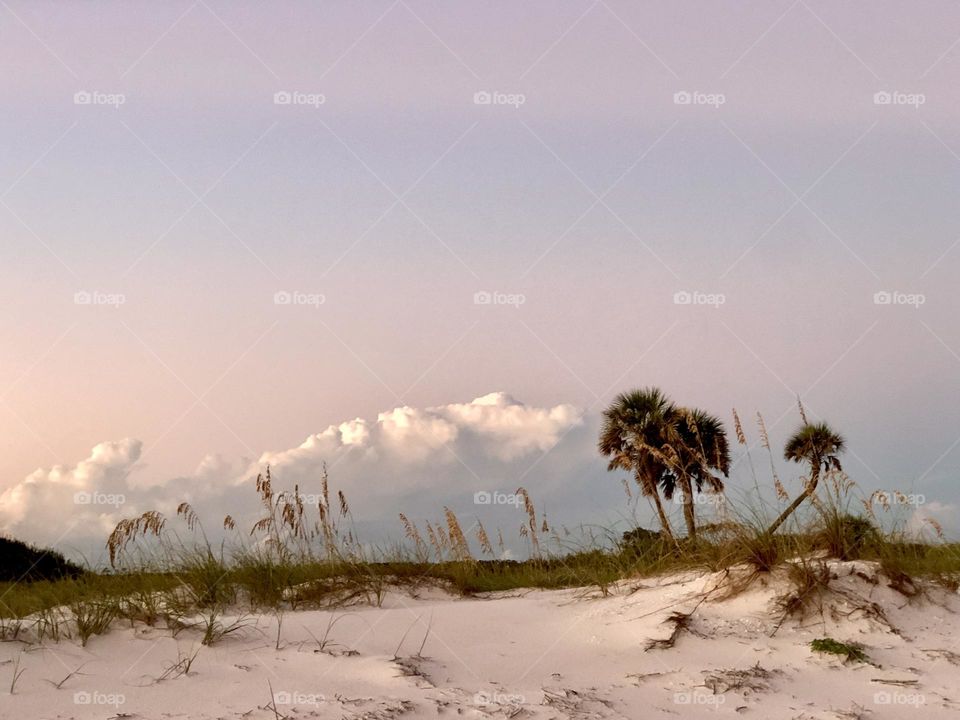 Looking east away from the setting sun. A storm cloud is low of the horizon past sand dune, sea grasses and palm trees.