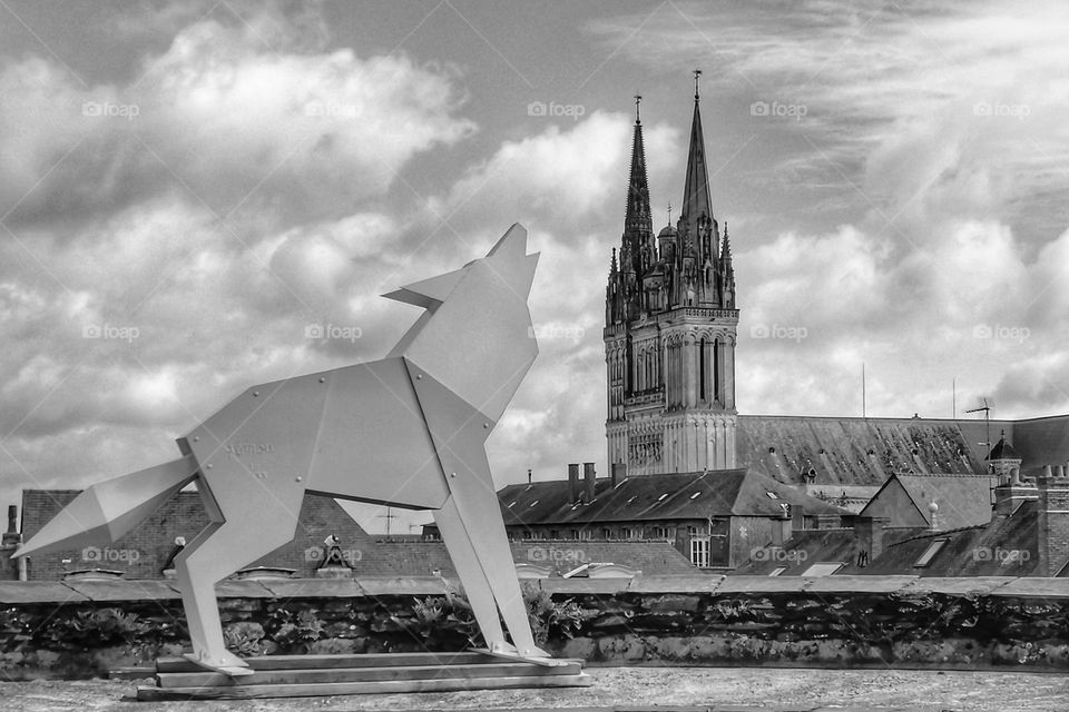 Wolf and church at Angers