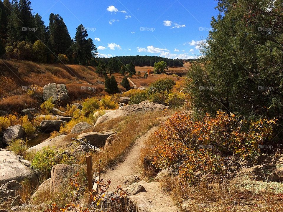 Scenic view of autumn