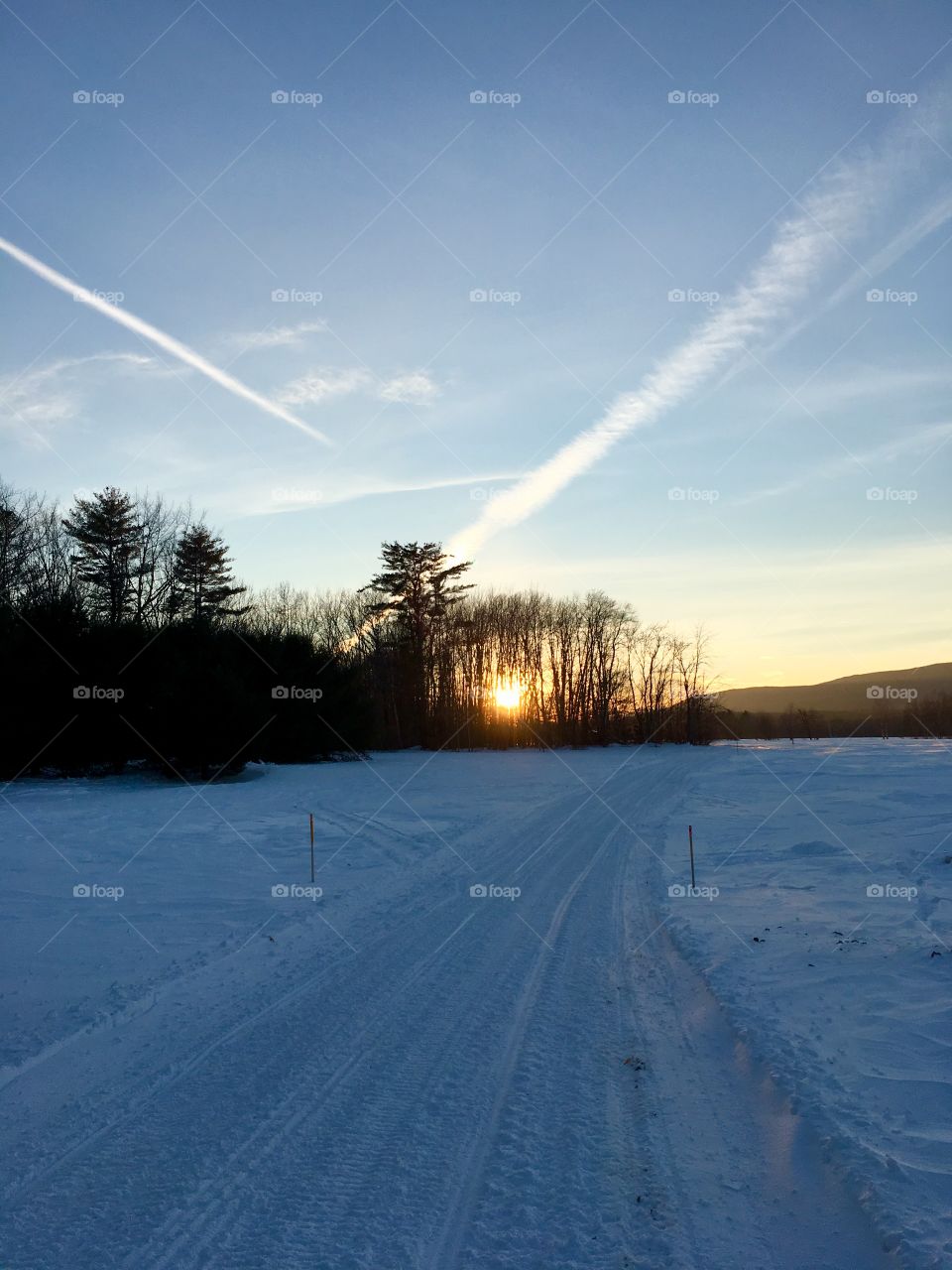 Sunset behind the trees 