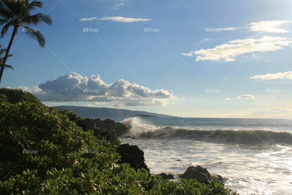 Look as far as you can but you won't see land