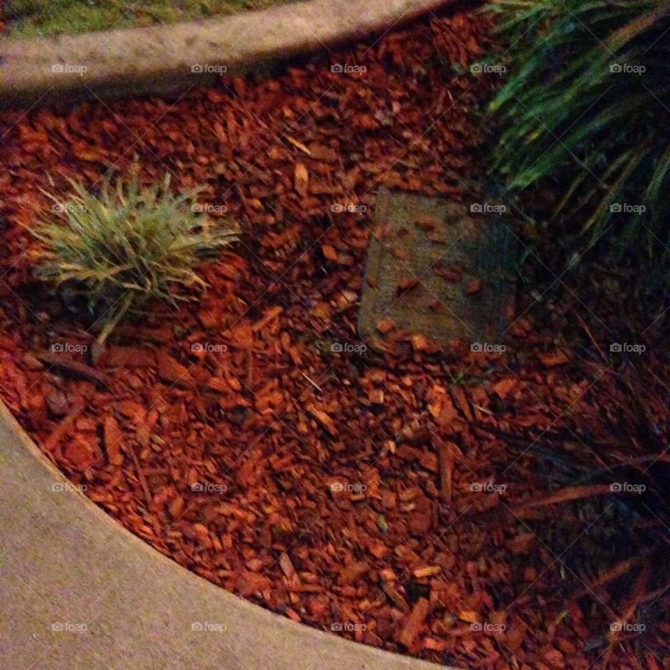 Red Turf

Published by:
HappyBrownMonkey 