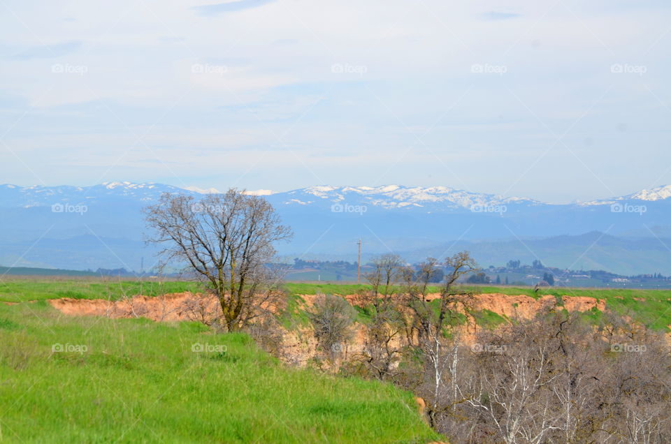 Countryside