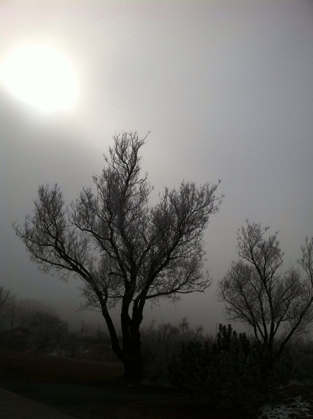 Morning mist