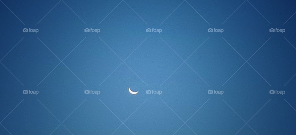 Moon in the morning sky