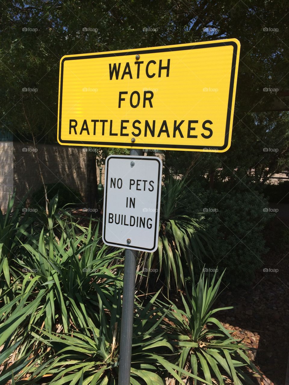 No Rattlesnake Sign
