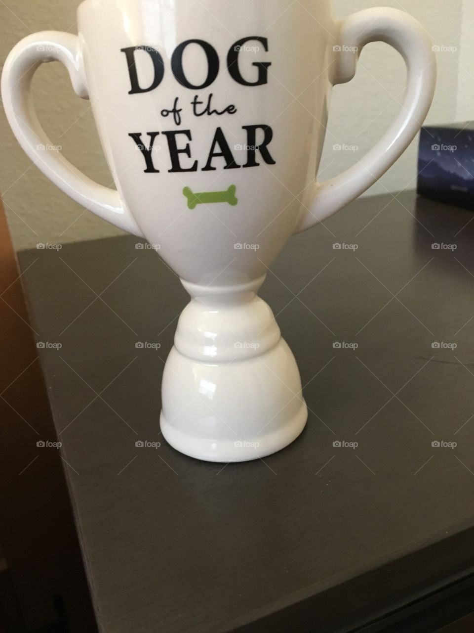 dog of the year ceramic trophy
