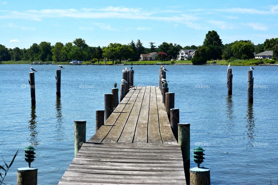 Seagull Dock