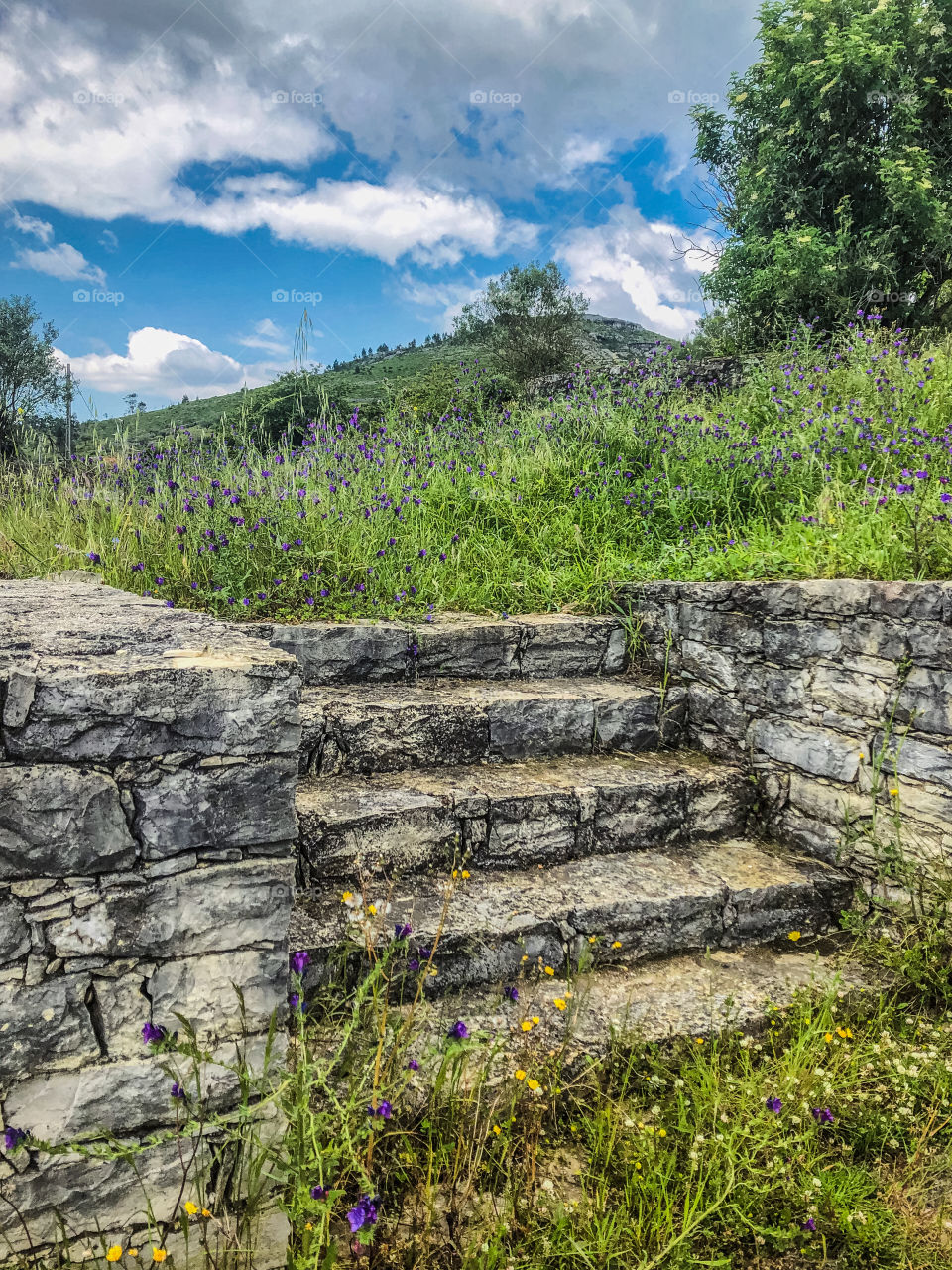 Stone steps leading to a countryside scene near Fórnea, Porto de Mòs, Portugal - May 2020