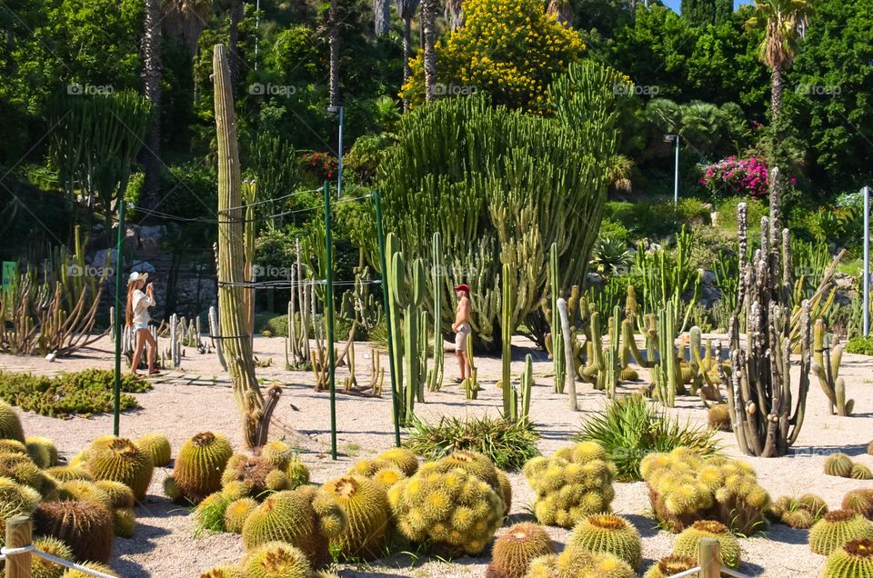 Marimutra Botanical Gardens in Blanes, Spain, Barcelona. Includes over 4000 different plant species