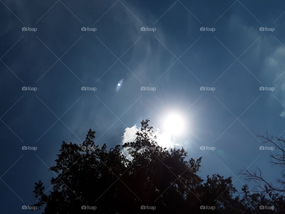 Looking up at the Sky !