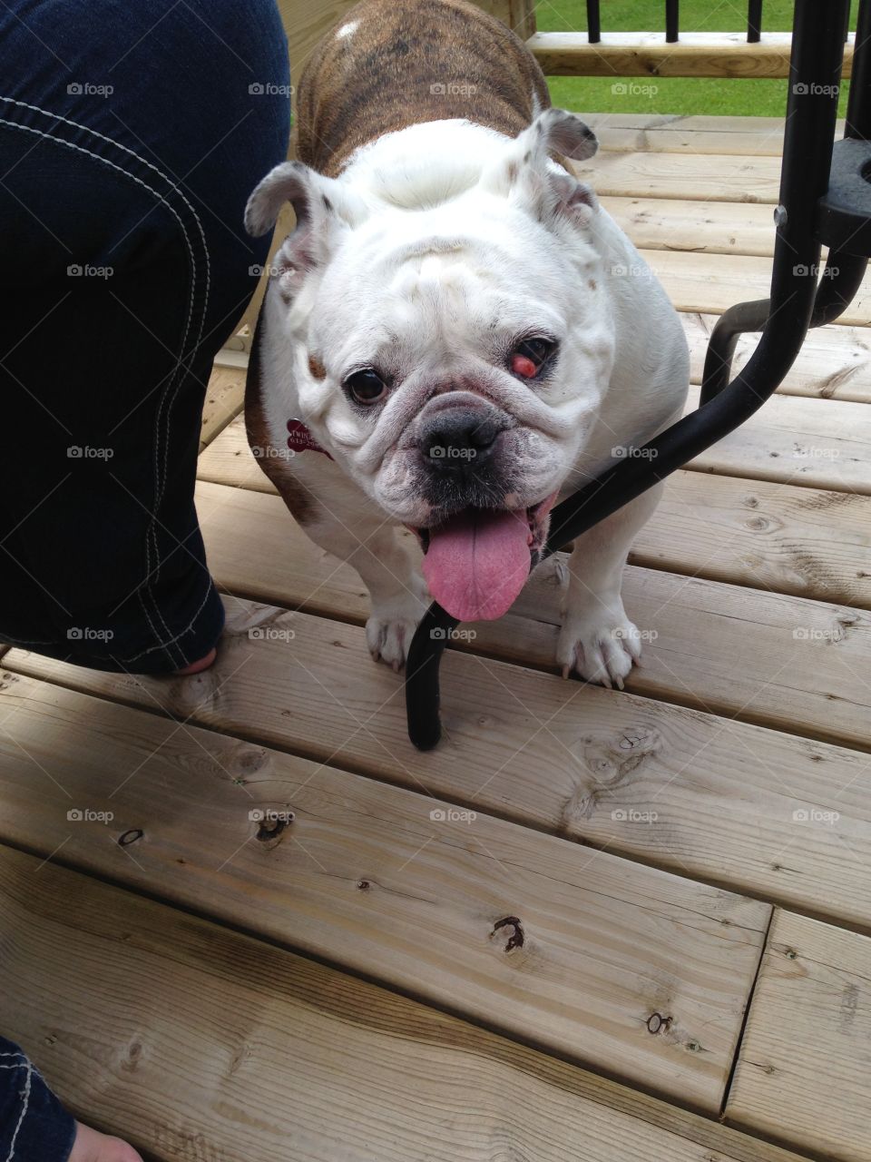 First time on the deck!