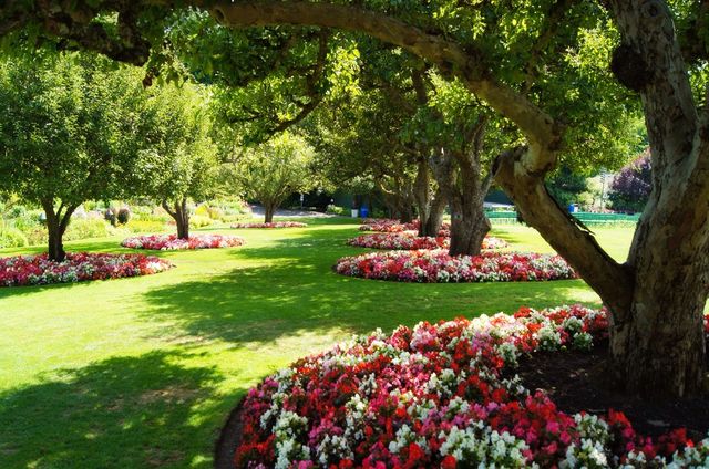 Flowers and trees in the garden