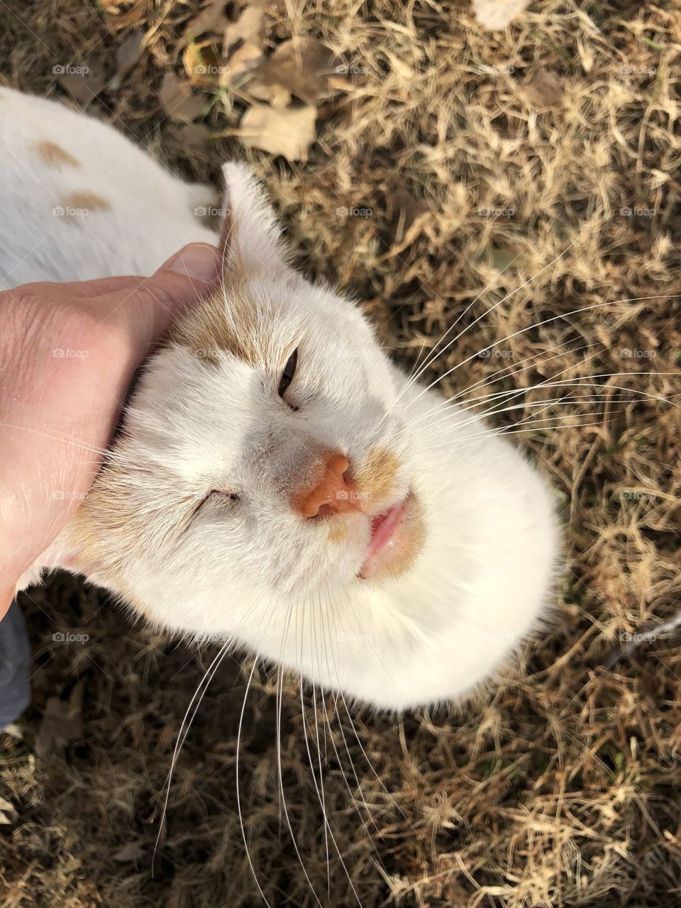 Loving that head scratch