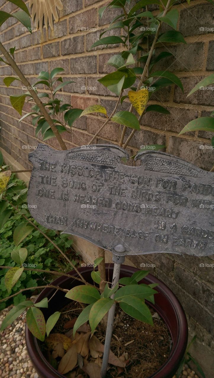 Leaf, Flora, Nature, Stone, No Person