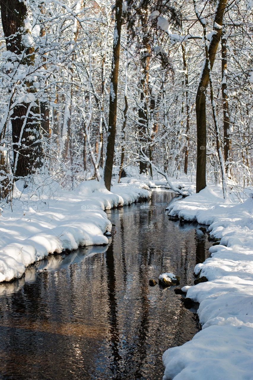 Pretty stream in Nymphenburg 