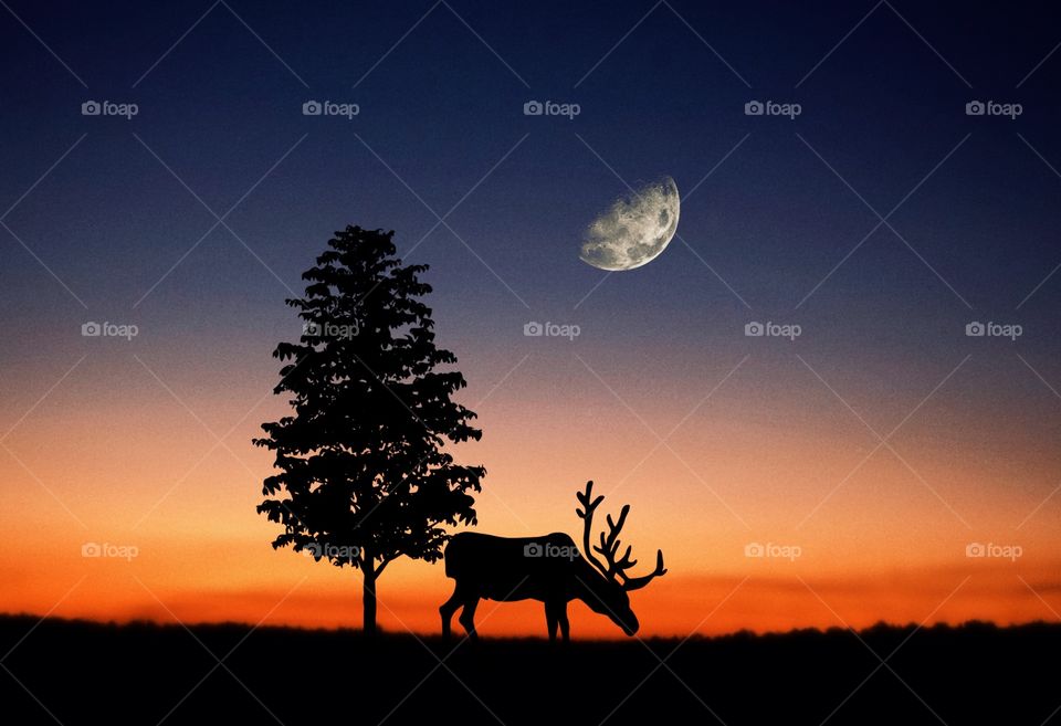 Tree , deer & moon