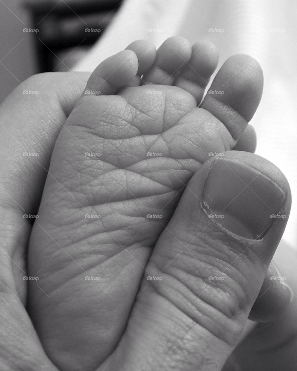 Tiny toes. Baby foot