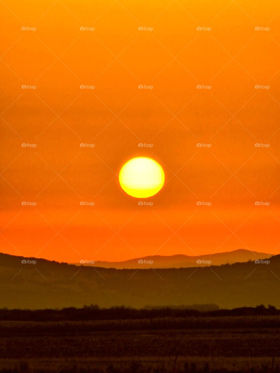 orange sun