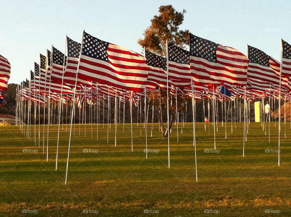 flags flag malibu patriotic by illusionfactory