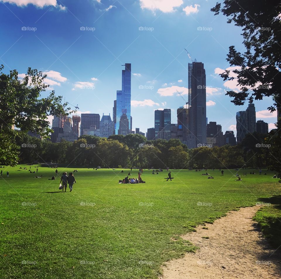A view of New York City skyline from Central Park.