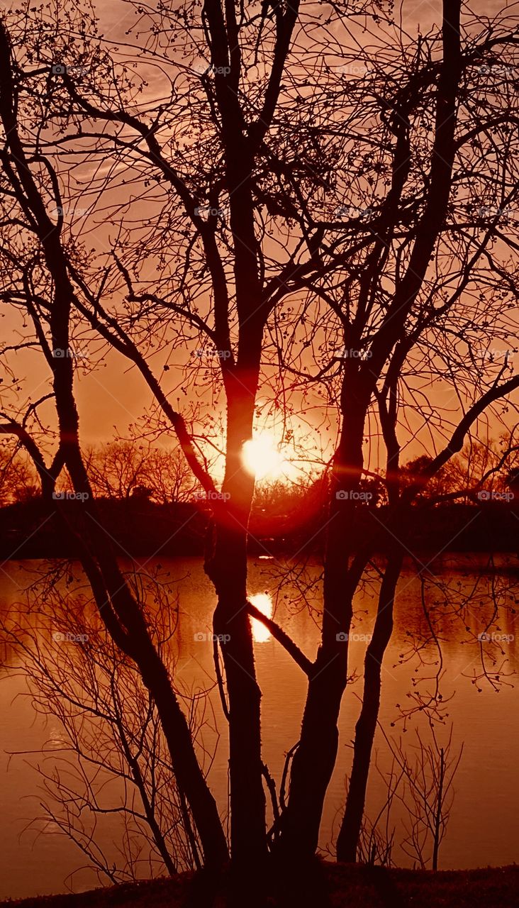 Silhouette of the Evening Sun Setting in a Glorious Fashion. Leafless Branches holding the sun whilst cascading over glowing Lake Waters.