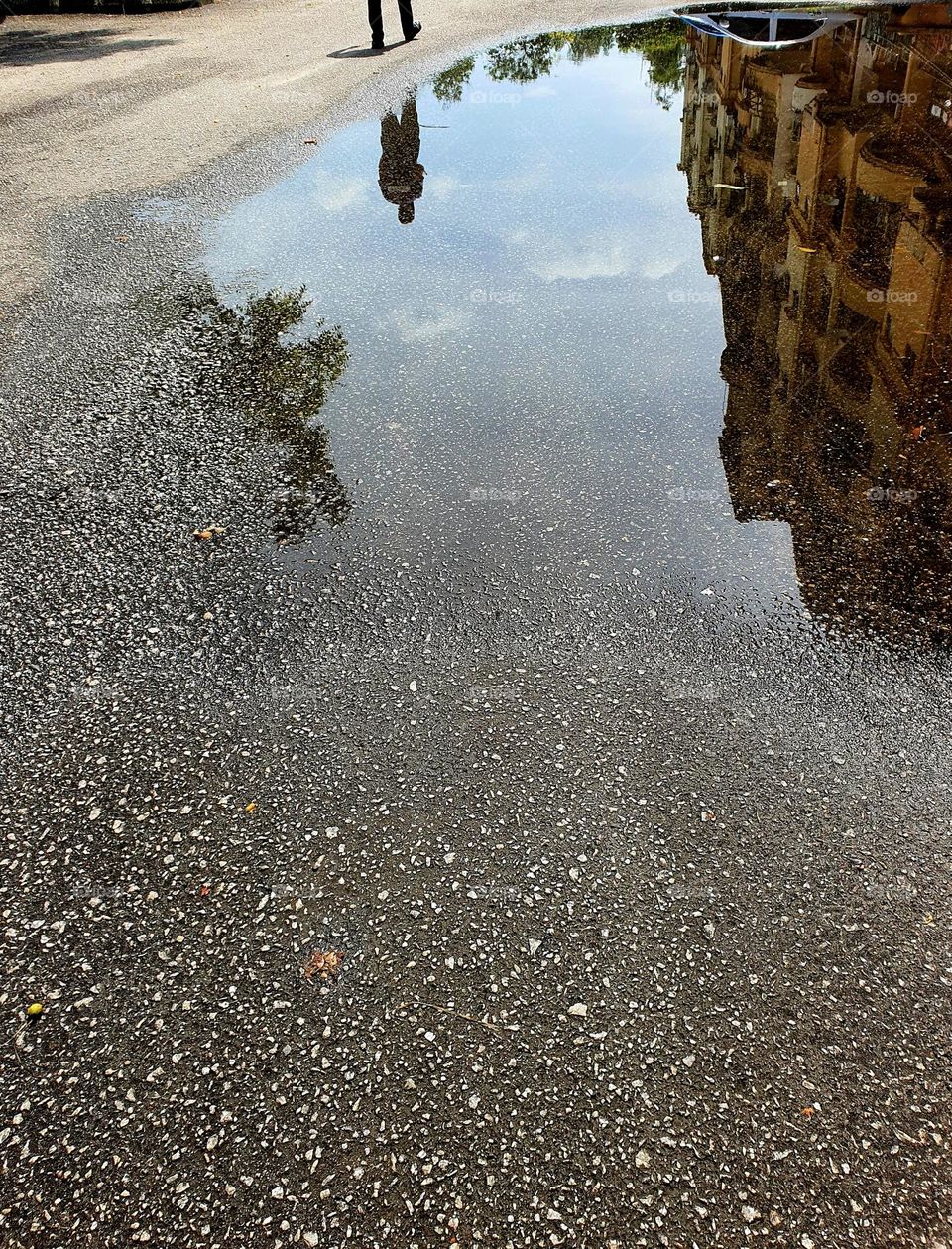 Reflection from Rain Puddle