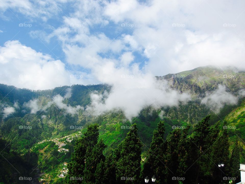 Morning's in Madeira Island! 🇵🇹