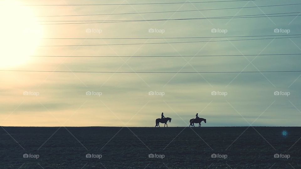 Die Silhouetten von Pferden am Horizont bei Sonnenuntergang.