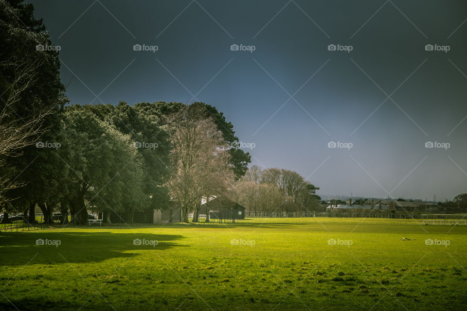 No Person, Landscape, Grass, Tree, Nature