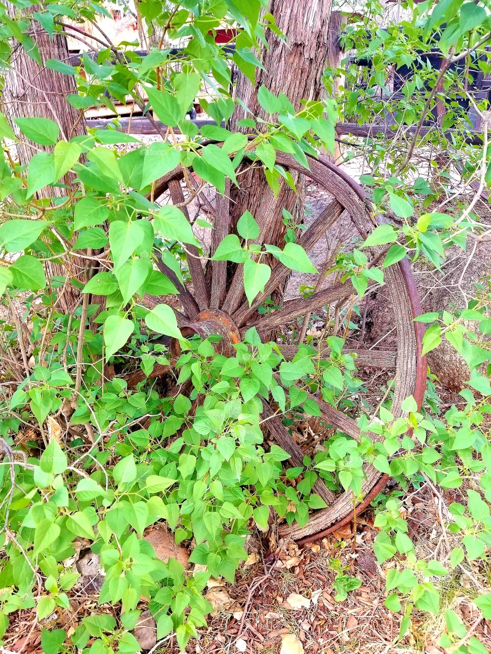 Abandoned Wagon Wheel
