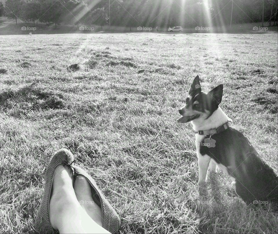 Reflecting at the Park