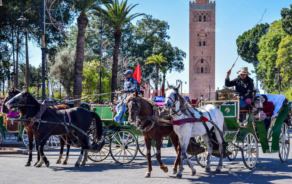 transportation system in Marrakesh
