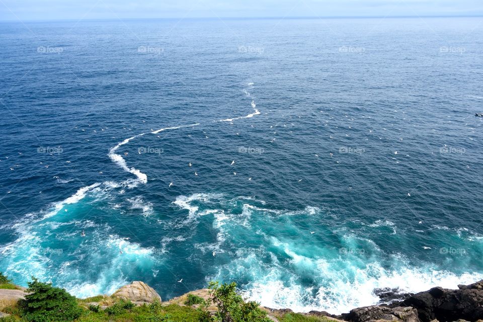 Took this photo in Labrador Newfoundland 